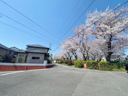 その他　北側、目の前の広見桜公園。春になると満開の桜がキレイです。
