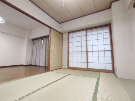 ̑@L