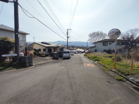 ���n�y�n�ʐ^�@-