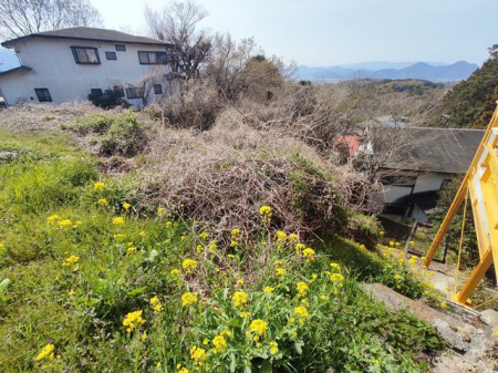 ���n�y�n�ʐ^�@-