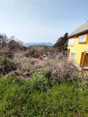 ���n�y�n�ʐ^�@-