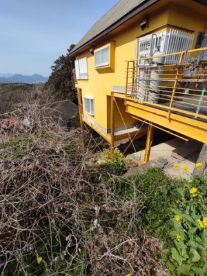 ���n�y�n�ʐ^�@���}