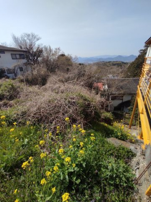 ���n�y�n�ʐ^�@-