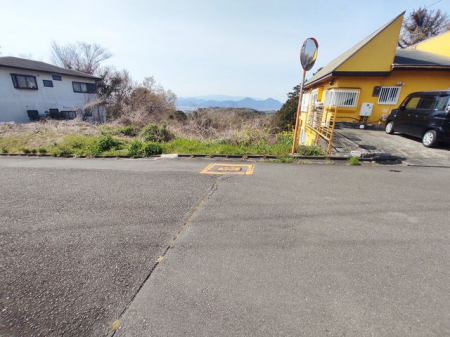 ���n�y�n�ʐ^�@-