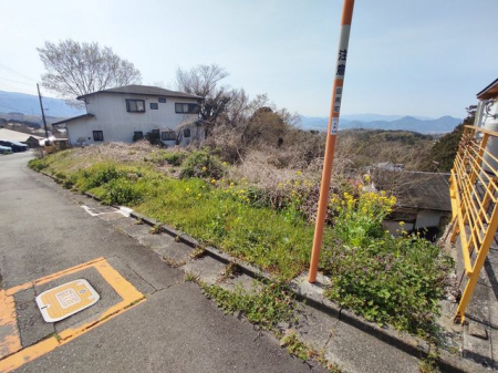 ���n�y�n�ʐ^�@-