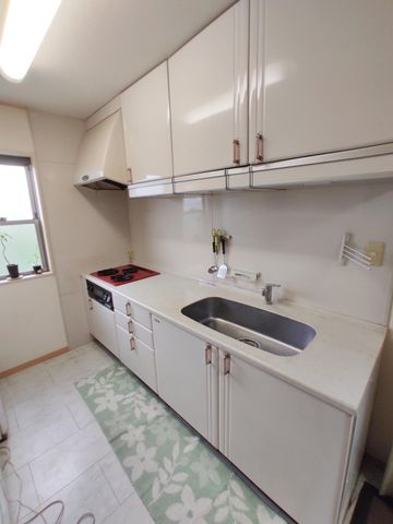 �É������Îs�� �̒��È�ˌ��ẴL�b�`��