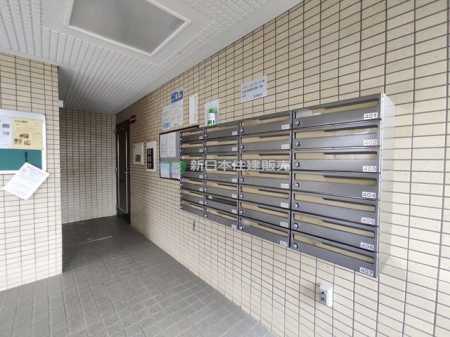 ̑@[BOX