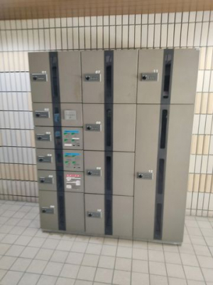 ̑@zBOX