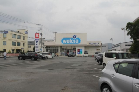 �@�E�G���V�A/�O�����{�X �k��8���B 600m