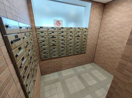 ̑@[BOX