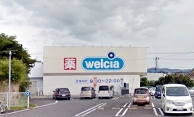 ���ӊ��@�E�G���V�A�O���J�c�X �k��11���B 880m