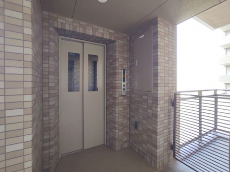 ���̑��@EV