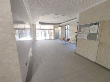 ���̑��@���r�[