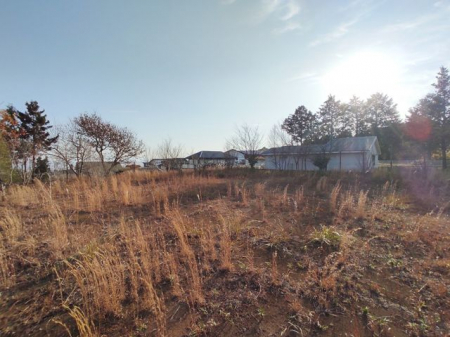 ���n�y�n�ʐ^�@���n�ʐ^