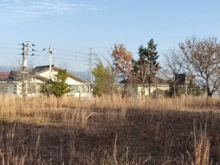 ���n�y�n�ʐ^�@���n�ʐ^