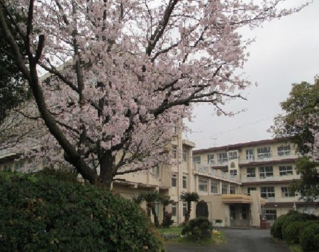 ���ӊ��@�O���s���k�㏬�w�Z 1000m