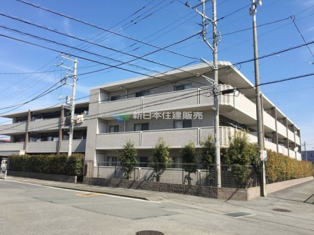 ���n�O�ώʐ^�@�O��