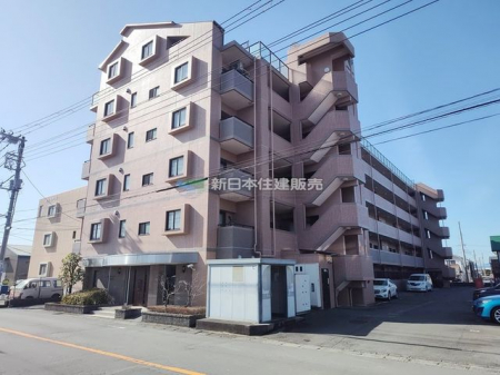 ���n�O�ώʐ^�@�O��