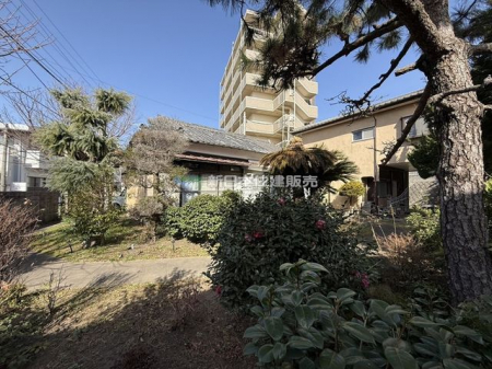 ���n�y�n�ʐ^�@���n�ʐ^