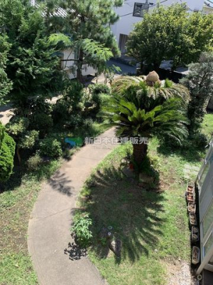 ���n�y�n�ʐ^�@���n�ʐ^