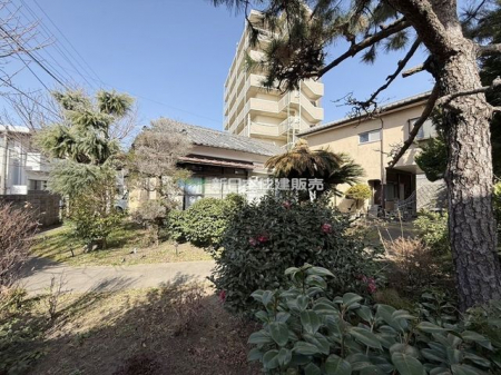 ���n�O�ώʐ^�@�O��