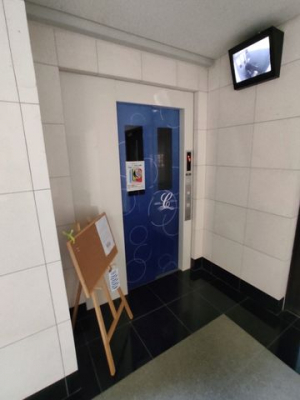 ���̑��@EV