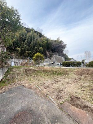 ���n�y�n�ʐ^�@�גn