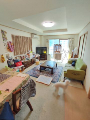 ���r���O�@���r���O