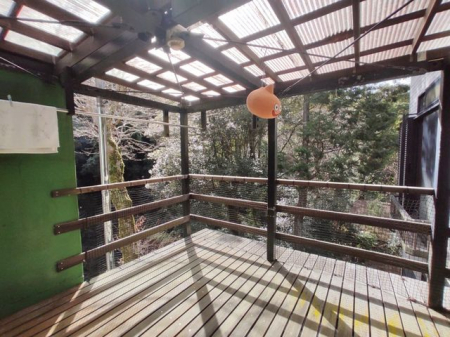 �o���R�j�[�@�x�����_