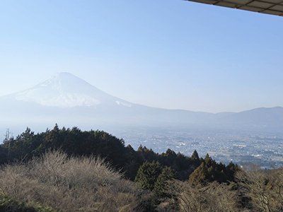 ���̑��@����Ă���͕x�m�R���]�߂܂��B