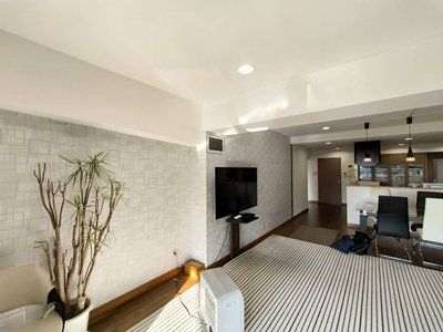 ���̑����ρ@�_�C�j���O���[��