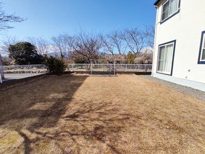 ���̑��@�L�X�Ƃ�������