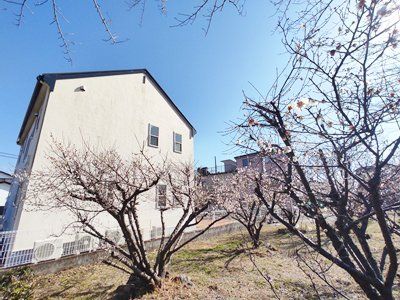 ���ӊ��@�t�߂̍�