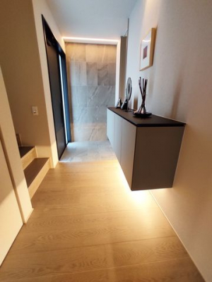 ���n�O�ώʐ^�@����