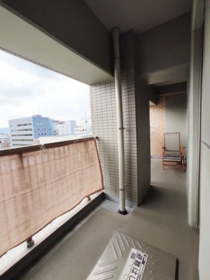 ���̑��@�v���C�o�V�[���̍����o���R�j�[