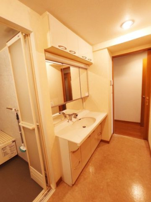 ���ʑ�E���ʏ��@���[�[���̐��ʏ������g�[��