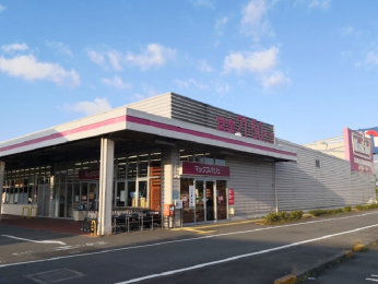 ���ӊ��@�}�b�N�X�o������a��V���X�@1040��