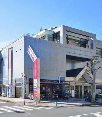 �@�}�b�N�X�o�����G�N�X�v���X����X �k��8���B 600m