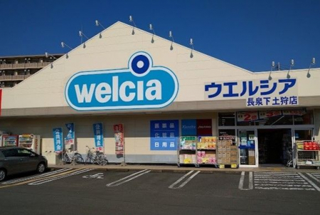 �@�E�G���V�A/���򉺓y��X �k��4���B 300m