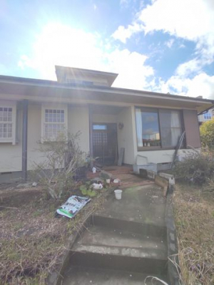 ���n�O�ώʐ^�@���փ|�[�`