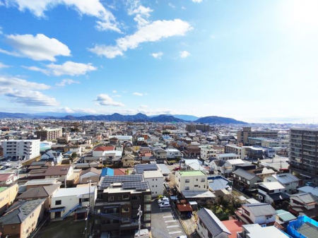 ���̑��@���w�K�Ȃ̂Œ��]�ǍD�ł�