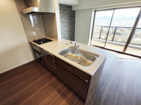 �L�b�`���@�l�C�̑Ζʎ�