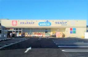 ���ӊ��@�E�G���V�A���Ëg�c�X �k��18���B 1400m