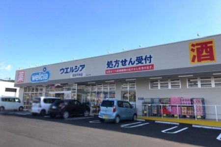 ���ӊ��@�E�G���V�A���약��X �k��22���B 1700m