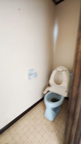 �É������Îs���� �̒��È�ˌ��Ẵg�C��