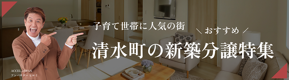 �V�z���� ���������W